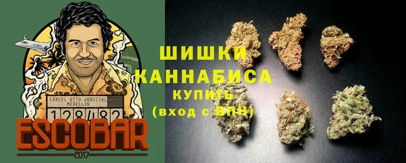 Канабис Amnesia  где продают наркотики  Вилюйск 